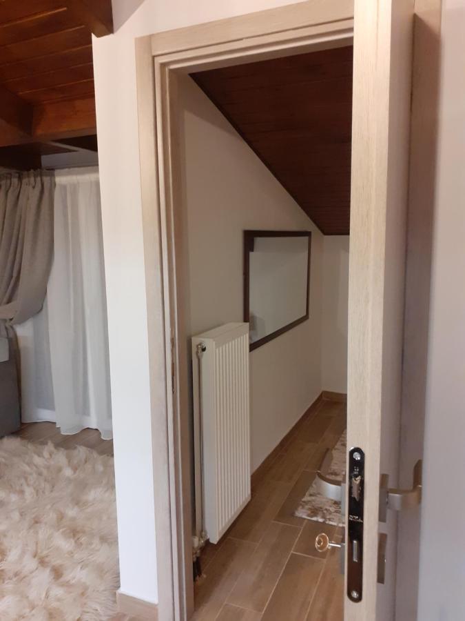 The View Attic Apartment Ioannina Exterior photo